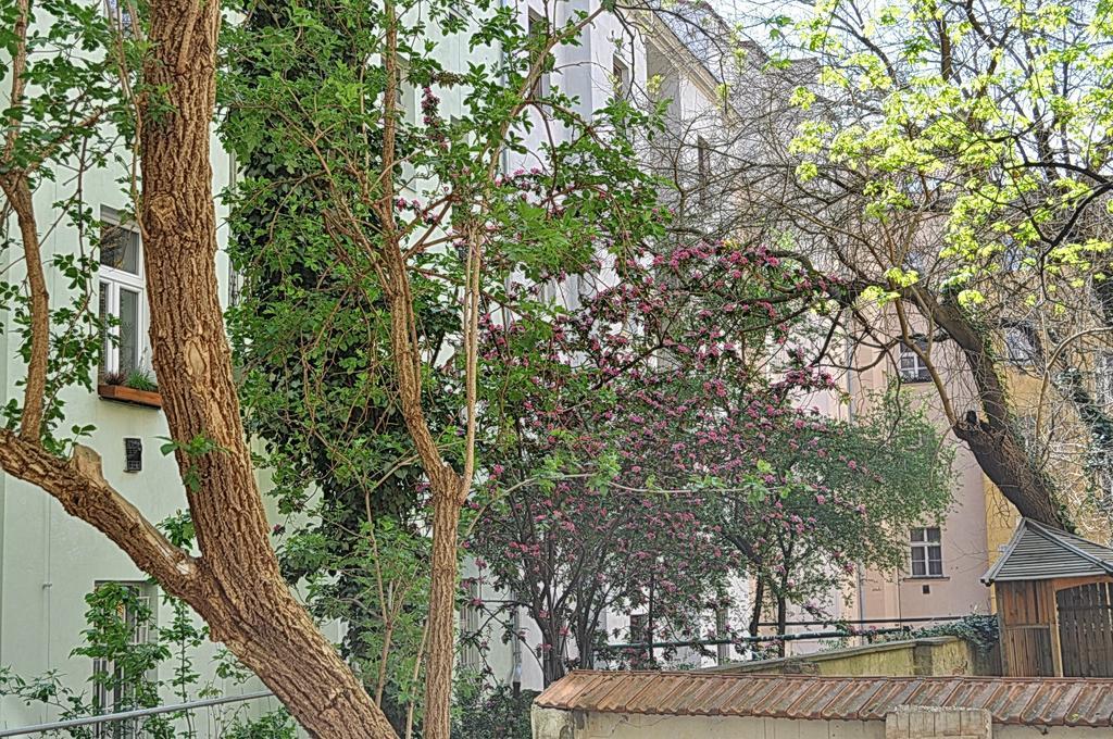 פראג Apartment Na Kozacce 6 מראה חיצוני תמונה